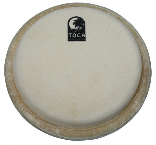 Toca TP-27007