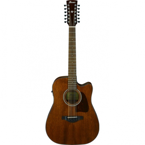 Ibanez AW 5412 CE OPN 12-string acoustic guitar