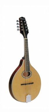 Richwood RMD-100 NT mandolin