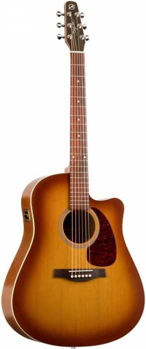 Seagull Entourage Rustic CW QI