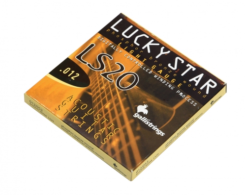 Galli LS-20 acoustic guitar strings 12-53