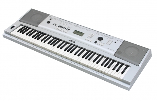 Yamaha store dgx 230