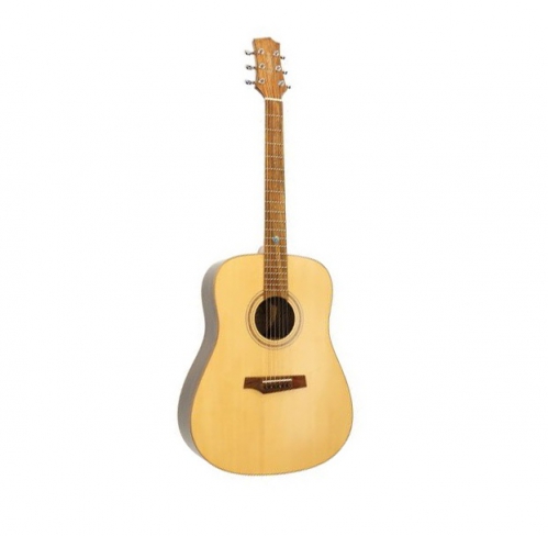 Randon RGI 60 acoustic guitar