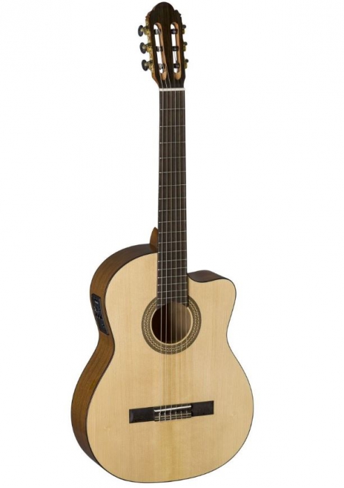 DF9S CE electric acoustic guitar