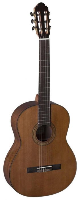 DF6C classical guitar