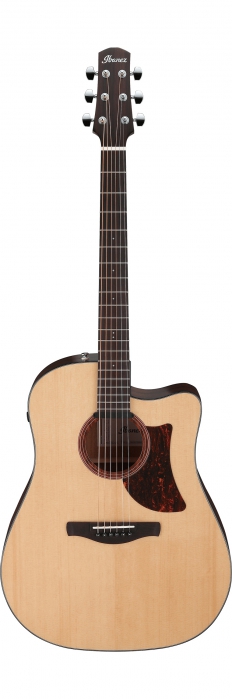 Ibanez AAD170CE-LGS electric acoustic guitar