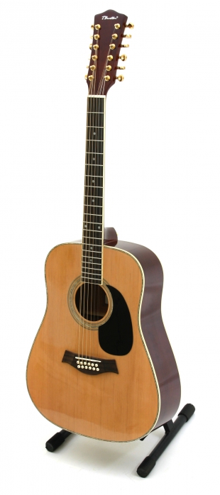 T.Burton Passage W N 12 string acoustic guitar