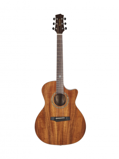 Randon RG 54C acoustic guitar