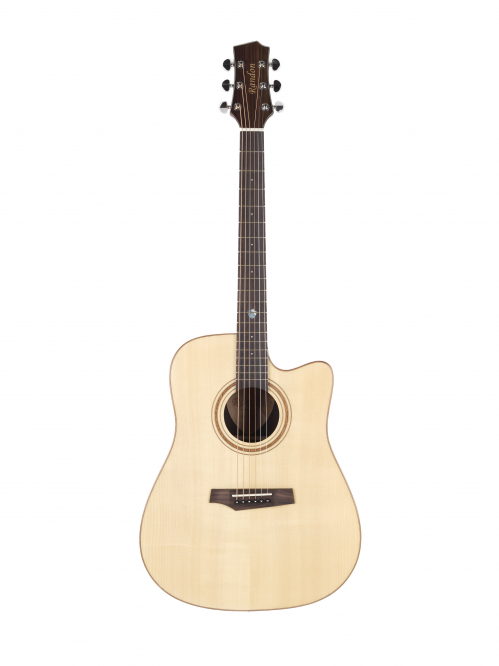Randon RG 60C acoustic guitar