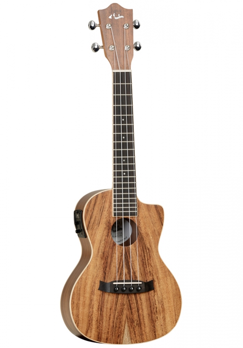 TANGLEWOOD TUJ2-CE TANGLEWOOD TUJ2-CE