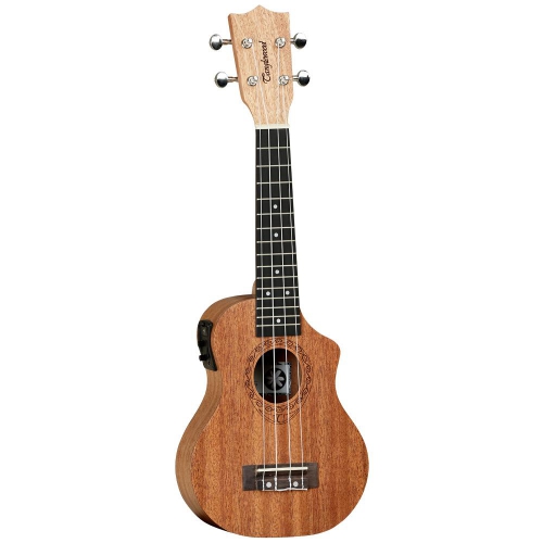 TANGLEWOOD TWT1-CE
