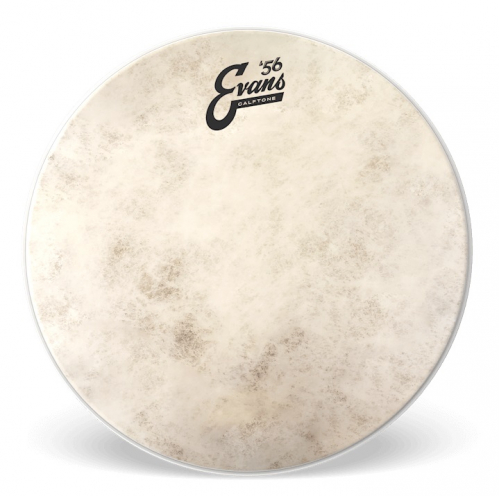 Evans TT10C7 Calftone drumhead 10″