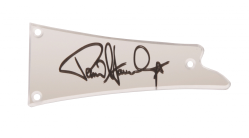 Ibanez 4PT4LA0014 rod cover f.ps120