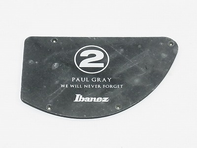 Ibanez 4PT27C0015 control plate pgb2t black matt 1 ply.