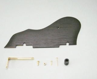 Ibanez 4PG1RW3 pickguard as103sm-nt