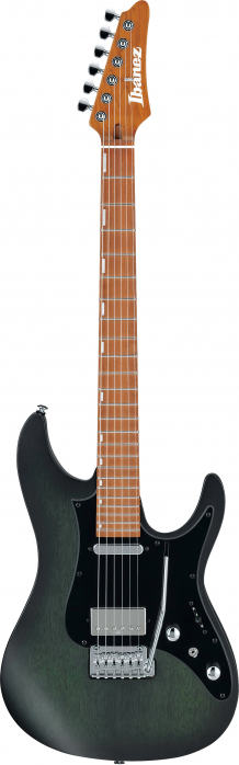 Ibanez EH10-TGM e-guitar 6-str. (chon) transparent green matte incl. case, erick hansel