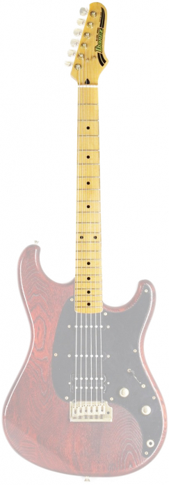 Ibanez 1NK-BL50 neck for blazer 6-str. 22 frets