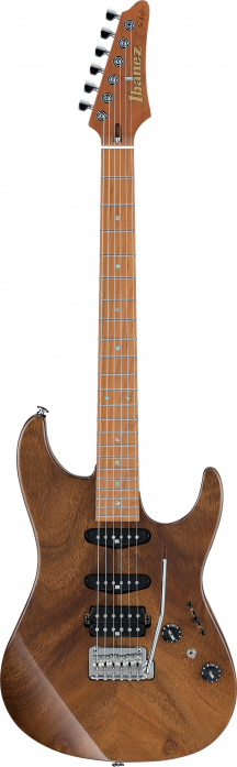 Ibanez TQM1-NT e-guitar 6-str. tom quayle signature natural, incl. case