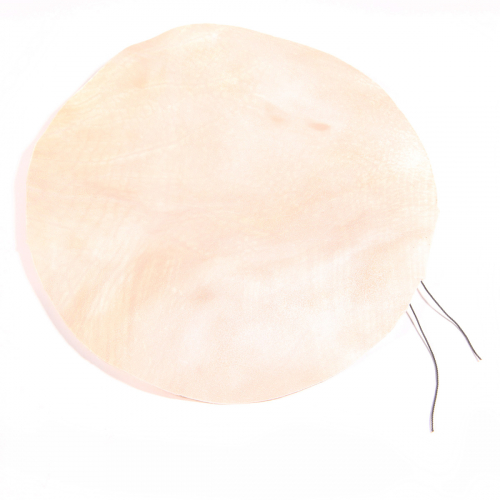 Meinl Percussion TS-C-15 head for id3go cow skin meinl