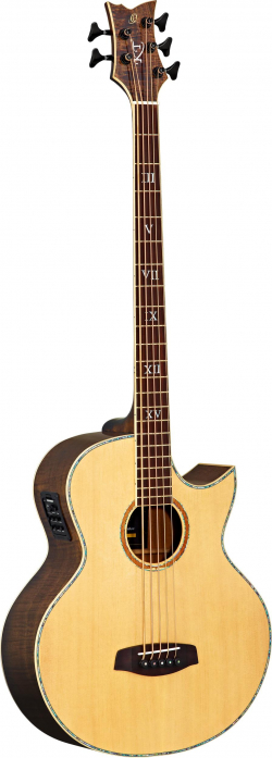 Ortega KTSM-5 acoustic-el. bass 5-str.ortega ken taylor signature incl. strap & gigbag