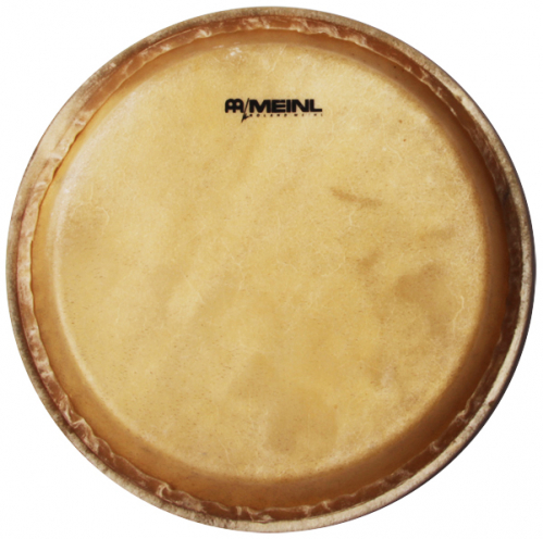 Meinl Percussion HEAD-34 head 12 1/2″ mc1112 marathon meinl