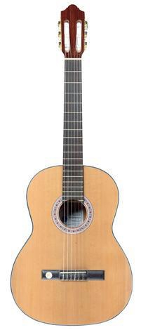 Gewa Pro Arte GC210 500030 classical guitar 4/4
