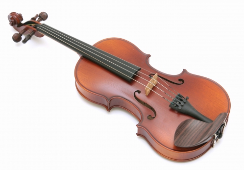 Hoefner H6G violin 4/4 (set)