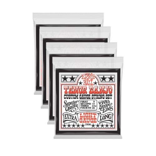 Ernie Ball 2306 banjo strings