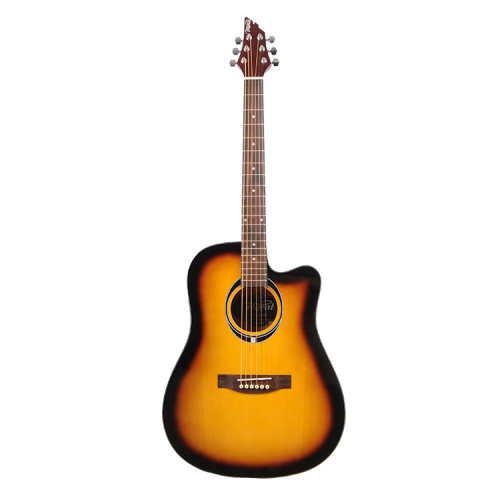 Flycat C100 TSB acoustic guitar 
