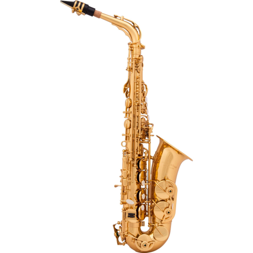 Arnolds&Sons AAS 110 Alto saxophone