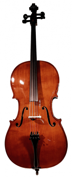 Strunal Cello Maestro Linz 4/7 H - cello, size 4/4