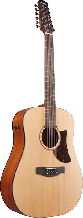 Ibanez AAD1012E-OPN 12-string electric acoustic guitar