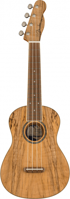 Fender Zuma Exotic Ukulele Spalted Maple concert ukulele