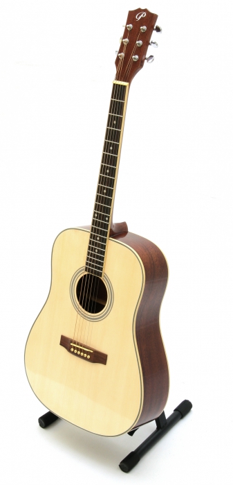 Pasadena AG1 acoustic guitar