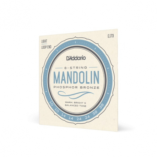 D′Addario EJ 73 mandolin strings