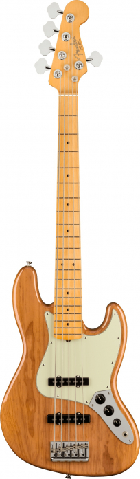 Fender American Professional II Jazz Bass V bass guitar
