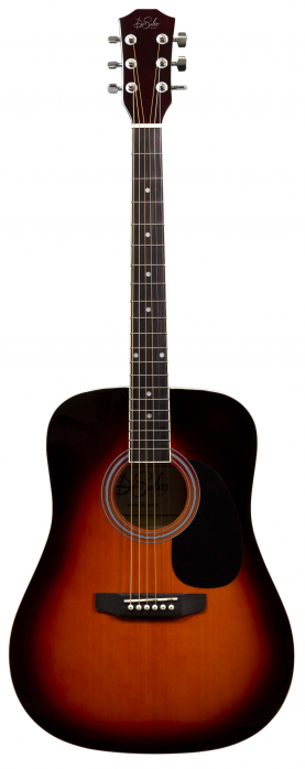 De_Salvo AG1SB acoustic guitar