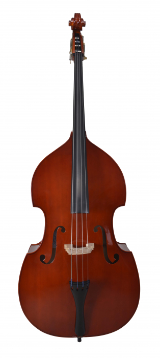 Vhienna_Meister DBASS34 double bass ?