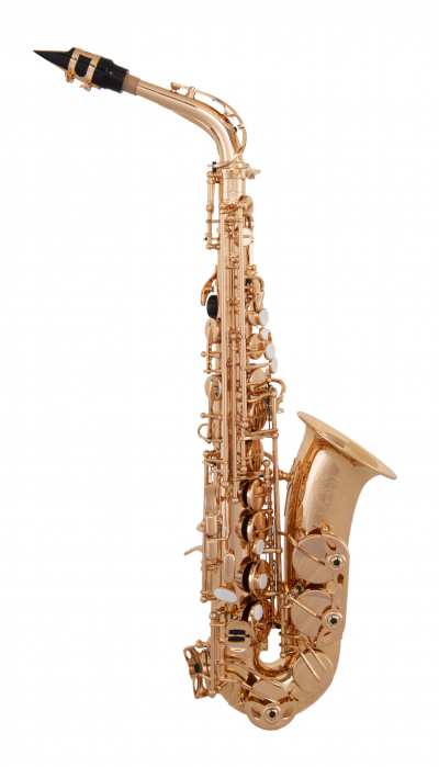Grassi ACAS300G alto saxophone