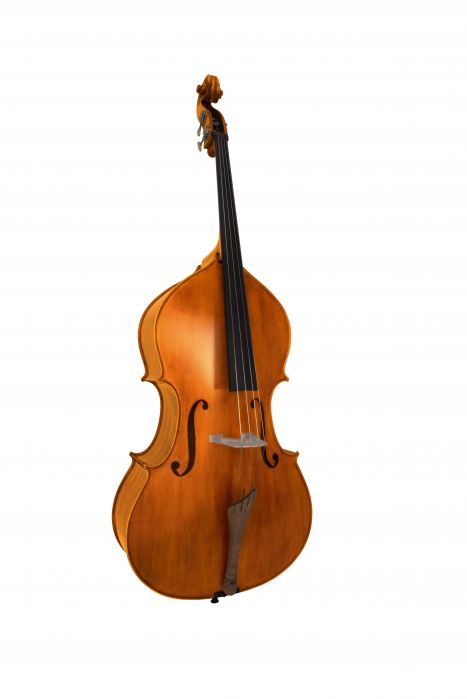 Vhienna_Meister DB34CONCERTO double bass ?