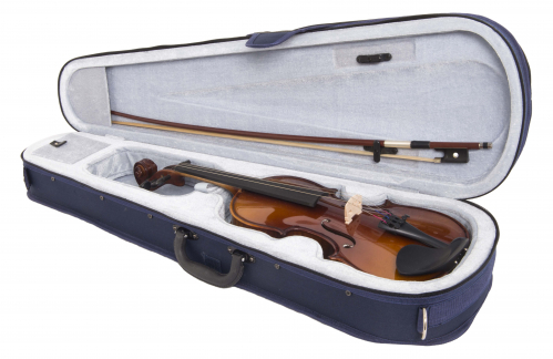 Vhienna_Meister BCASEVO34 case for violin ?