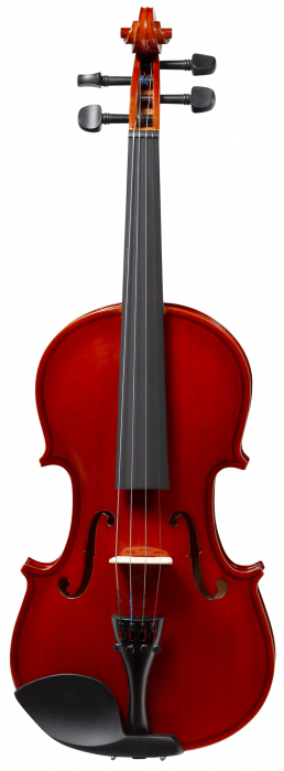Vhienna_Meister VOB12 acoustic violin ?