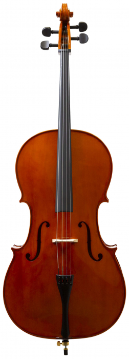 Vhienna_Meister CES44 cello 4/4