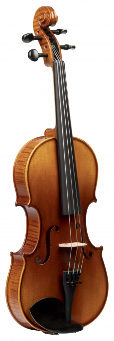 Vhienna_Meister VO12OPERA acoustic violin ?