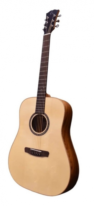 Dowina Rioja DS acoustic guitar