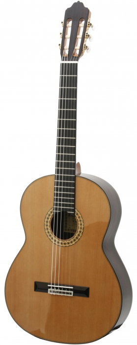 Esteve 8 classical guitar