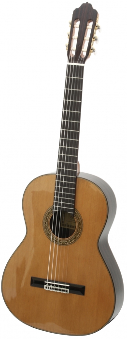 Esteve 7 classical guitar