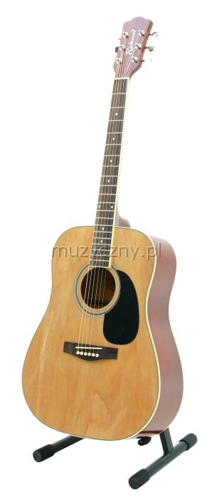 Richwood RD12 N acoustic guitar W./Dreadnought