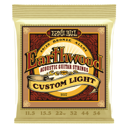Ernie Ball 2005 Earthwood Custom Light 