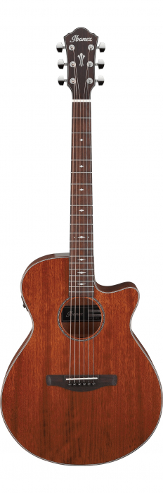 Ibanez AEG220-LGS Natural Low Gloss electric-acoustic guitar